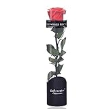 Dewanxin Rosa Eterna,Rosa Natural Preservada,para Decoración del Hogar Boda San Valentín...