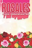 ROSALES PARA PRINCIPIANTES: Hogar y jardinería #14