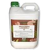 VERMIORGANIC | Fungicida plantas Bioestimulante | Fungicida cola de caballo Ecológico, 5L...