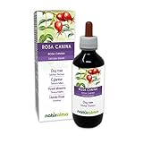 Rosal silvestre (Rosa canina) frutos Tintura Madre sin alcohol Naturalma | Extracto...