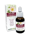 Wild rose o Rosa silvestre (Rosa canina) Flores de Bach Naturalma | No. 37 | Gotas 30 ml |...