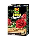 COMPO Abono para trepadoras y rosales con guano natural, Favorece el aroma y la...