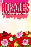 ROSALES PARA PRINCIPIANTES: Hogar y jardinería #14