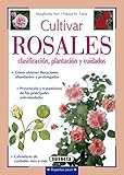 Cultivar rosales, clasificación, plantación y cuidados (Pequeñas Joyas)