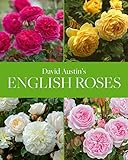 David Austin's English Roses