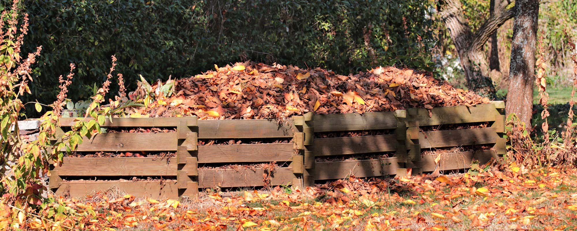 compostando las hojas de otoño para tener compost en primavera y verano