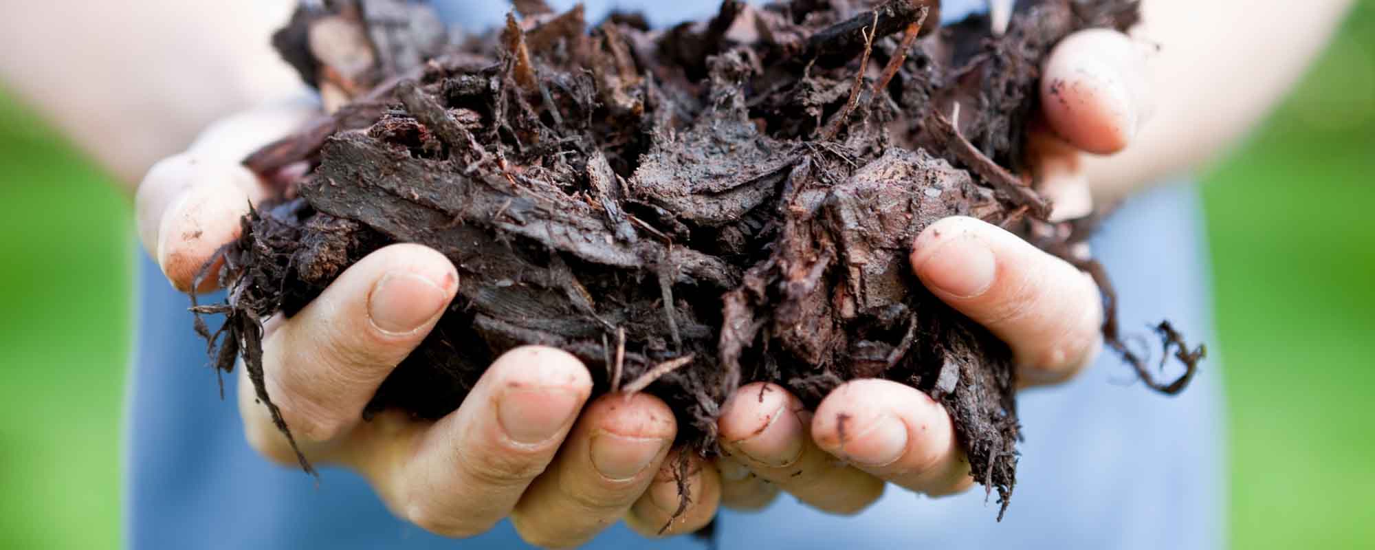 compost en proceso de descomposición, un abono estupendo