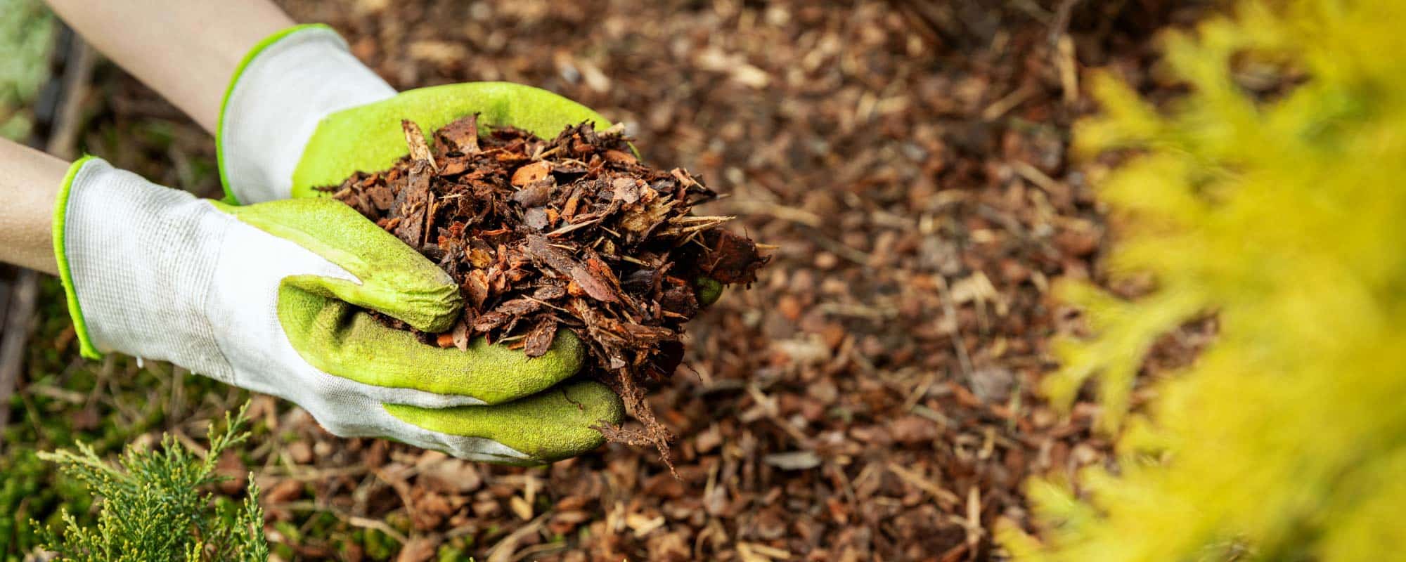 acolchado de jardín hecho de hojas, corteza y otros materiales organicos