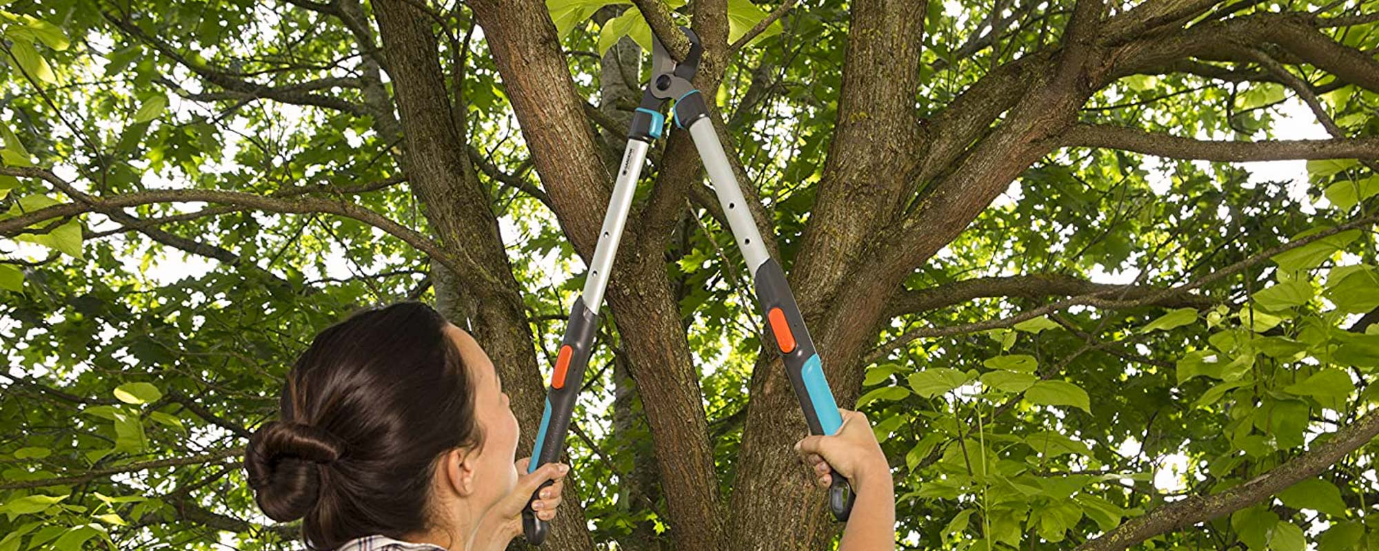 Tijera de mango largo. Jardinera podando con tijera gardena de dos manos