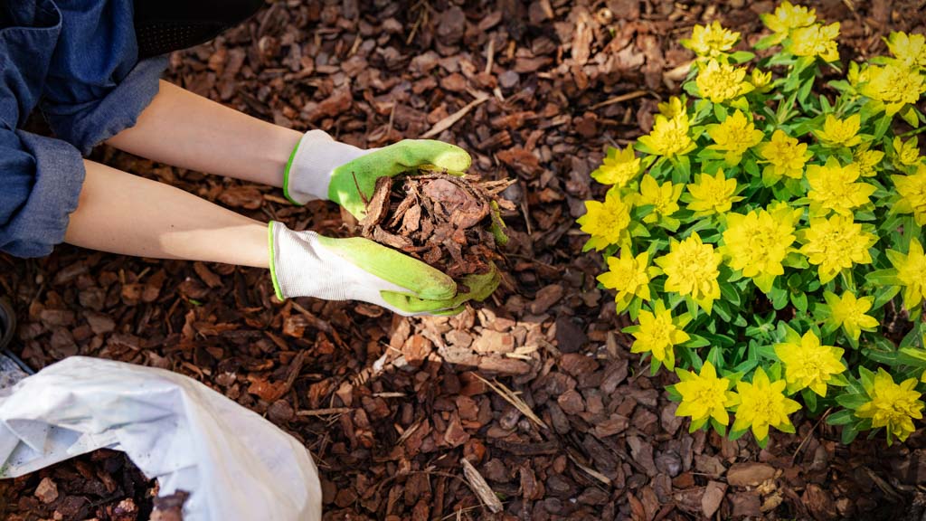 acolchado de corteza para todo tipo de plantas