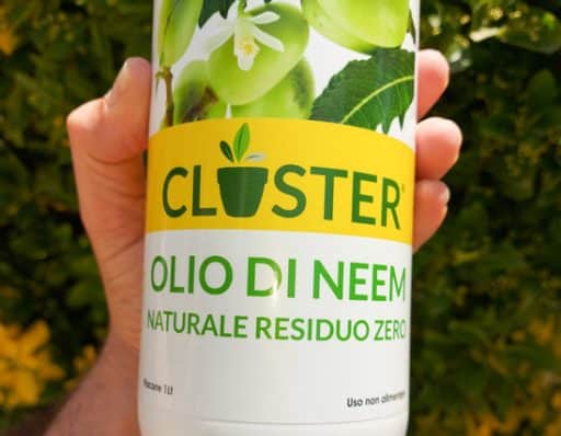 el mejor producto para eliminar plagas como el pulgon, aceite de neem closter