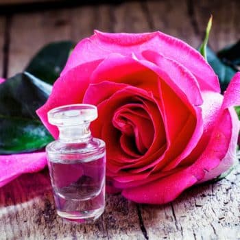 perfumes e hidrolatos de rosas