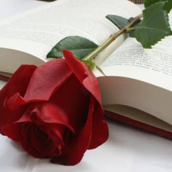 rosa y libro símbolos de Sant Jordi