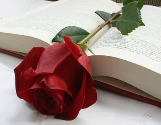 rosa y libro símbolos de Sant Jordi