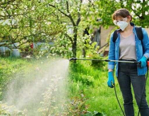 fungicida para salvar tus plantas del huerto o jardín