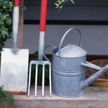 herramientas básicas para plantar rosales o cualquier planta