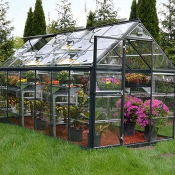 Invernadero de jardin tamaño medio con ventanas y puertas de plexiglass