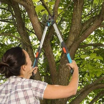 mujer cortando rama con tijeras de mango largo gardena