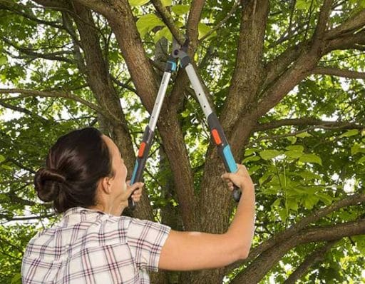 mujer cortando rama con tijeras de mango largo gardena